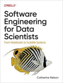 Software Engineering for Data Scientists - From Notebooks to Scalable Systems