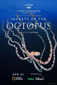 Secrets of the Octopus S01E01 Shapeshifters 720p DSNP WEB-DL DD 5.1 H.264-playWEB