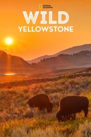 【高清剧集网发布 】野性黄石公园[第01-2集][简繁英字幕] Wild Yellowstone S01 2015 1080p DSNP WEB-DL DDP5.1 H264-LelveTV