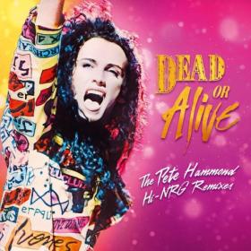 Dead Or Alive - The Pete Hammond Hi-NRG Remixes (2024) [24Bit-44.1kHz] FLAC [PMEDIA] ⭐️