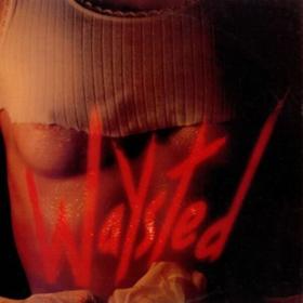 Waysted - Waysted  (Expanded Edition) (2024) [16Bit-44.1kHz] FLAC [PMEDIA] ⭐️