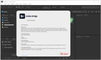 Adobe Bridge 2024 v14 0 4 222 (x64) Multilingual Pre-Activated