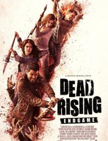 Dead Rising Endgame 2016 FRENCH BDRip XviD<span style=color:#fc9c6d>-EXTREME</span>