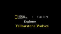 N G Explorer Series 11 Yellowstone Wolves 1080p HDTV x264 AAC