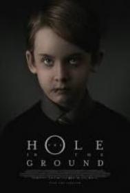 The Hole in the Ground (2019) WEB-DL XviD MP3-FGT_Explosive[NAPISY PL]