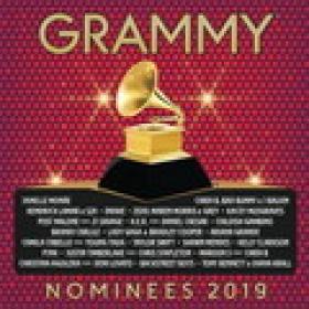 VA - 2019 Grammy Nominees (2019) MP3 320kbps