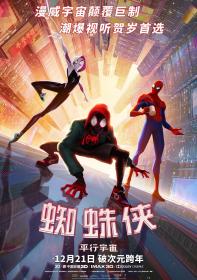 蜘蛛侠：平行宇宙 SpiderMan Into the SpiderVerse 2018 WEB-DL 1080P X264 AAC CHS-ENG