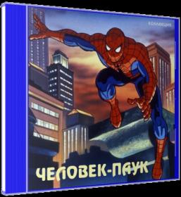 [M-KV2501] Spider-Man TAS [DVDRemux]