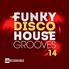 LW Recordings - Funky Disco House Grooves Vol  14 (2018)