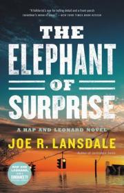 The Elephant of Surprise (Hap and Leonard #13) by Joe R  Lansdale