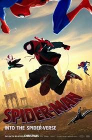Spider-Man Un nuevo universo 3D [BluRay 1080p][DTS 5.1-AC3 5.1 Castellano DTS 5.1-Ingles+Subs][ES-EN]