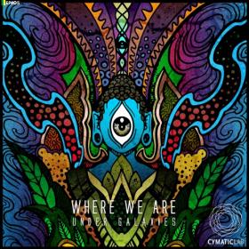 [Cymatic Lab Records] Under Galaxies - Where We Are [EP] (2018) [FLAC]