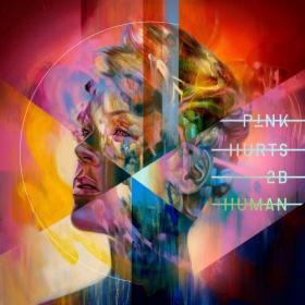 P!nk - Can We Pretend (2019) Single Mp3 Song 320kbps Quality [PMEDIA]