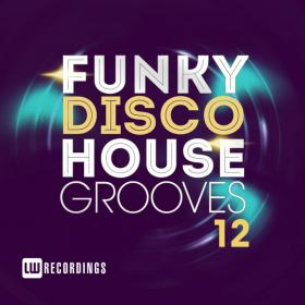 VA_-_Funky_Disco_House_Grooves_Vol_12