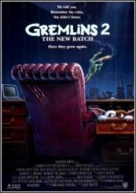 Gremlins 2 (DVDRip) ()