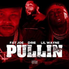 Fat Joe, Dre & Lil Wayne - Pullin [2019-Single]