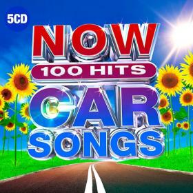 VA - NOW 100 Hits Car Songs (2019) Mp3 320kbps Album [PMEDIA]