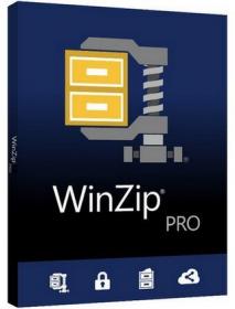 WinZip Pro 23 0 Build 13300 Final + keygen 