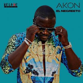 Akon - El Negreeto (2019) [pradyutvam]