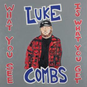 Luke Combs - What You See Is What You Get (2019) [pradyutvam]