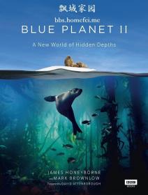 蓝色星球(第二季)：S1E2 Blue Planet II S01E01 One Ocean 1080p AMZN WEB-DL DDP5.1 H.264-bbs homefei me