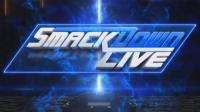 WWE Smackdown 02-11-2019 HDTV iTALiAN AC3 720p x264-Spyro