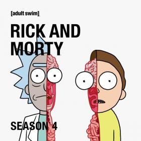 Rick and Morty S04 1080p WEB-DL CasStudio