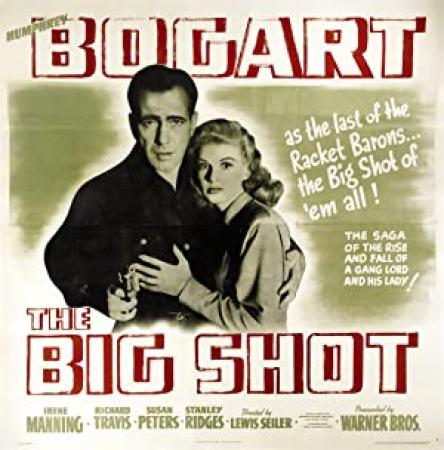 The Big Shot 2019 4K&1080p 4in1 WEB-DL HEVC&AVC DD 5.1<span style=color:#fc9c6d>-HQC</span>