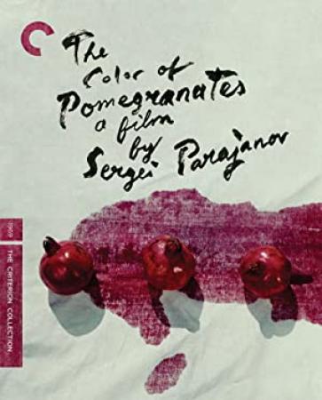 The Color of Pomegranates 1969 REAL BDRip x264-BiPOLAR[N1C]