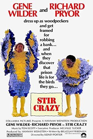 Stir Crazy (1980) [WEBRip] [720p] <span style=color:#fc9c6d>[YTS]</span>