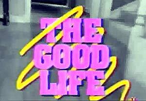 The Good Life (1975) Season 1-4 S01-S04 (576p DVD x265 HEVC 10bit AAC 2.0 Panda)