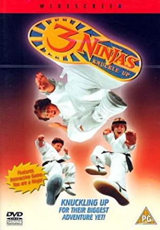 3 Ninjas Knuckle Up (1995) [WEBRip] [1080p] <span style=color:#fc9c6d>[YTS]</span>