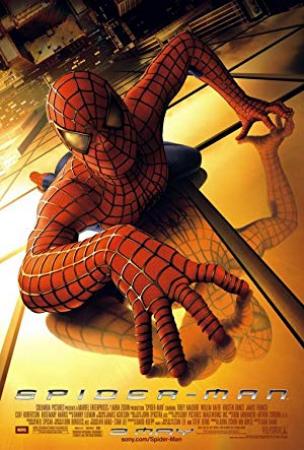 Spider-Man (2002) [Worldfree4u Wiki] 720p BRRip x264 [Dual Audio] [Hindi DD 5.1 + English DD 5.1]