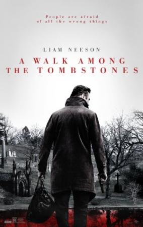 A Walk Among The Tombstones [BluRay Rip][Español Latino][2014]