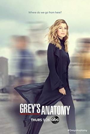 Grey's Anatomy (2005) - S14E10 (1080p AMZN WEB-DL x265 HEVC 10bit AAC 5.1 Vyndros)