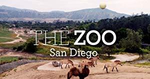 The Zoo-San Diego S01E05 Panda-monium WEBRip x264<span style=color:#fc9c6d>-CAFFEiNE</span>