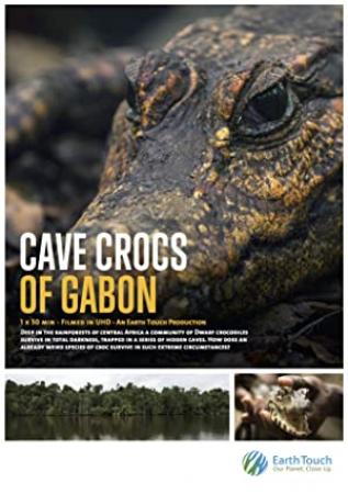 Cave Crocs Of Gabon (2018) [1080p] [WEBRip] <span style=color:#fc9c6d>[YTS]</span>