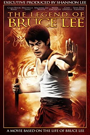 The Legend Of Bruce Lee 2008 CHINESE BRRip XviD MP3<span style=color:#fc9c6d>-VXT</span>