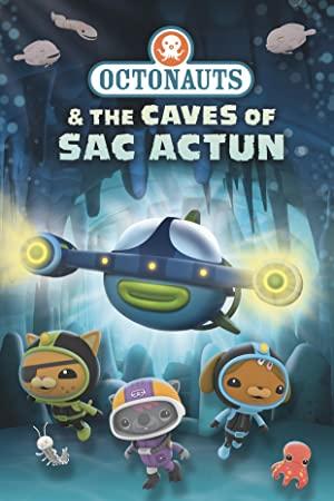 Octonauts And The Caves Of Sac Actun (2020) [720p] [WEBRip] <span style=color:#fc9c6d>[YTS]</span>