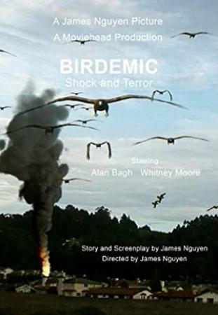 Birdemic shock and terror 2010 HDRip
