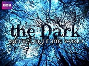 The Dark Natures Nighttime World S01 (2012) 1080p WEB-DL Rus Eng-BLUEBIRD