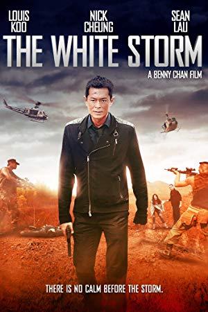 The White Storm 2013 CHINESE 720p BluRay H264 AAC<span style=color:#fc9c6d>-VXT</span>