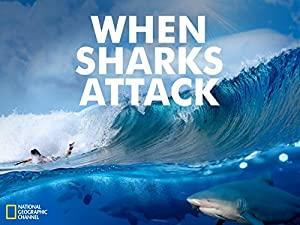 When Sharks Attack S01E01 Florida Frenzy iNTERNAL 480p x