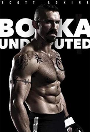 Boyka Undisputed 2017 FRENCH BDRip XviD ACOOL