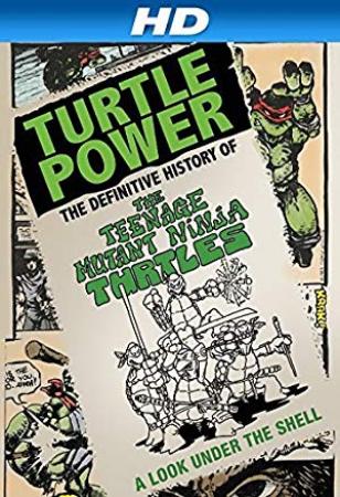 Turtle Power The Definitive History of the Teenage Mutant Ninja Turtles 2014 1080p AMZN WEBRip DD 5.1 x264<span style=color:#fc9c6d>-QOQ</span>