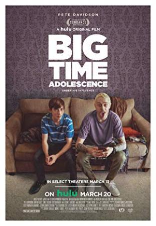Big Time Adolescence (2019) [1080p] [WEBRip] [5.1] <span style=color:#fc9c6d>[YTS]</span>