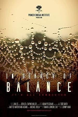 In Search Of Balance (2016) [1080p] <span style=color:#fc9c6d>[YTS]</span>