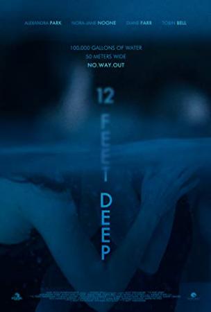 12 Feet Deep (2017) [BluRay] [1080p] <span style=color:#fc9c6d>[YTS]</span>