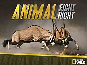 Animal Fight Night S06E06 Enemy Within XviD<span style=color:#fc9c6d>-AFG</span>