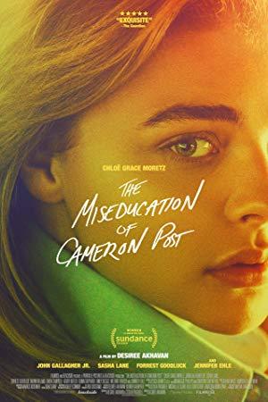 The Miseducation of Cameron Post 2018 FRENCH 1080p WEB-DL x264<span style=color:#fc9c6d>-STVFRV</span>